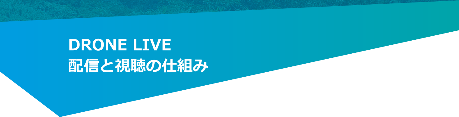 DRONE LIVE トップイメージ